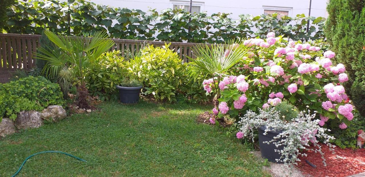 Vila Ava Zaprešić Εξωτερικό φωτογραφία